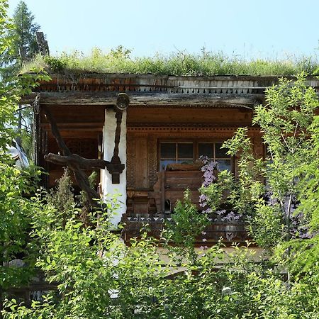Chalet Alm Planai Schladming Extérieur photo