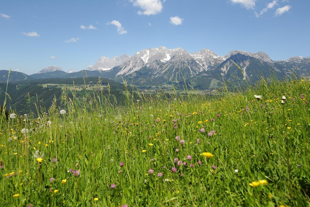 Chalet Alm Planai Schladming Extérieur photo